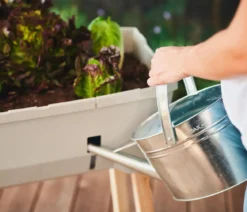 Gusta Garden Mini-Hochbeet Sammy Salad, inkl. Haube, ca. B79/H95/T38 cm
