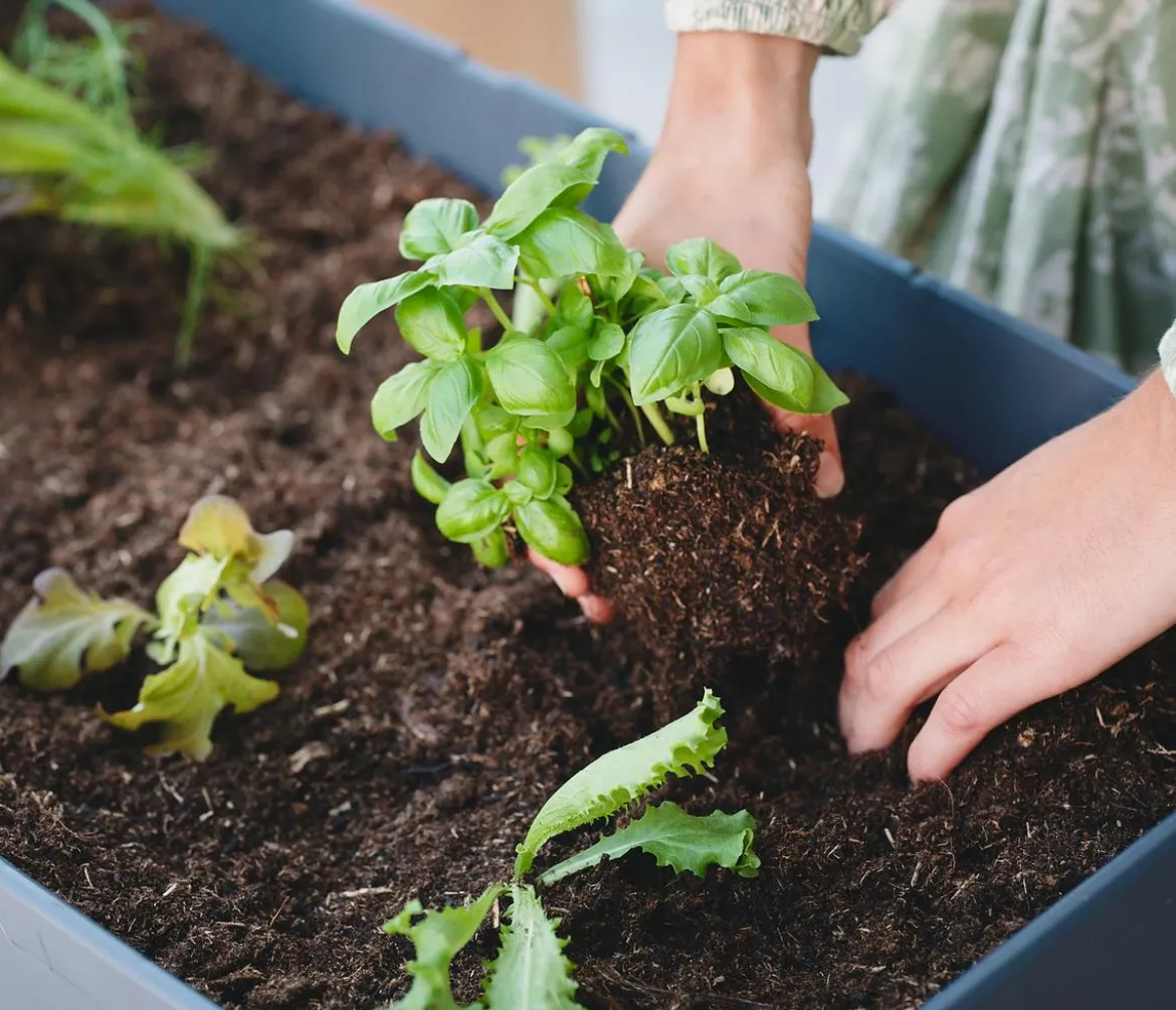 Gusta Garden Mini-Hochbeet Sammy Salad, inkl. Haube, ca. B79/H95/T38 cm