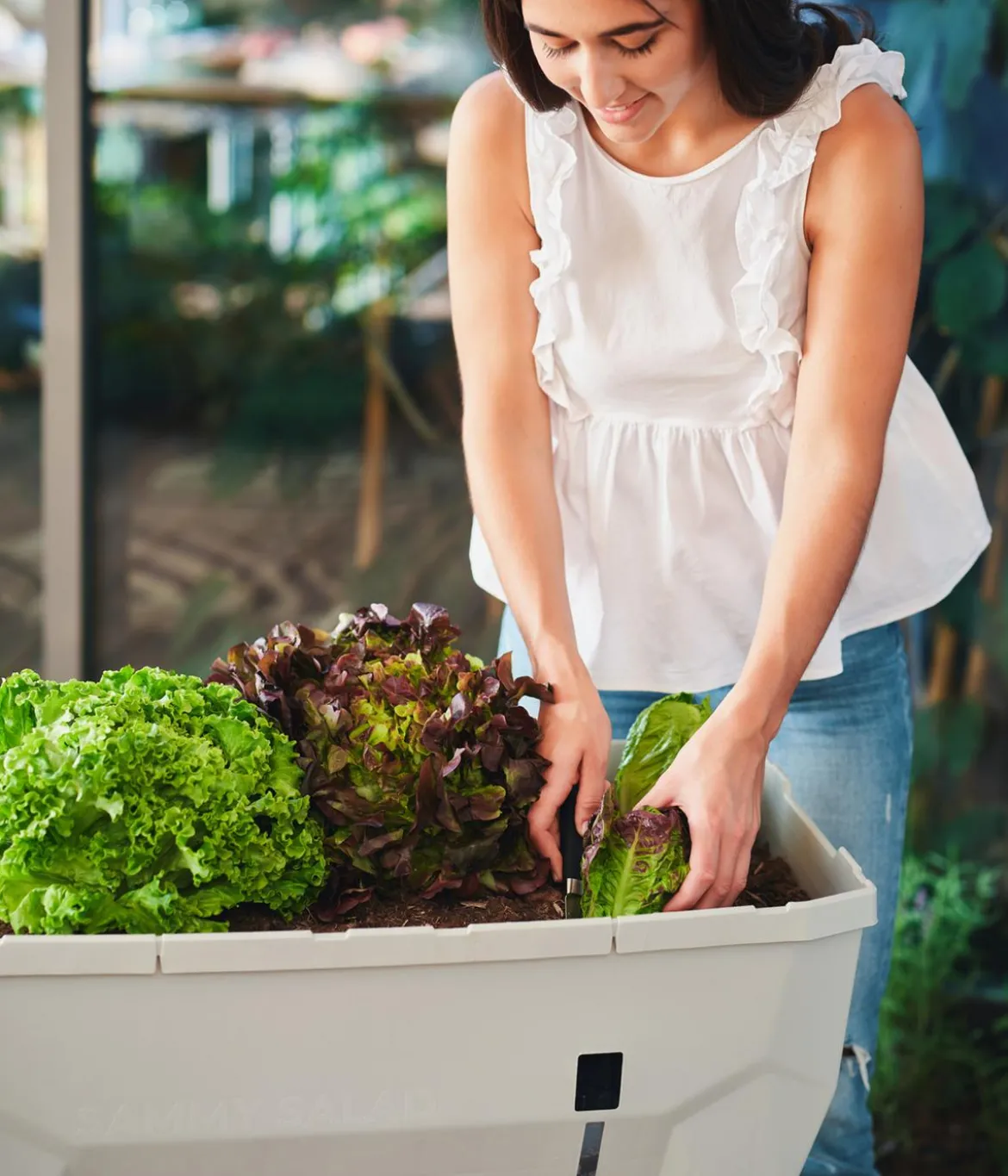 Gusta Garden Mini-Hochbeet Sammy Salad, inkl. Haube, ca. B79/H95/T38 cm