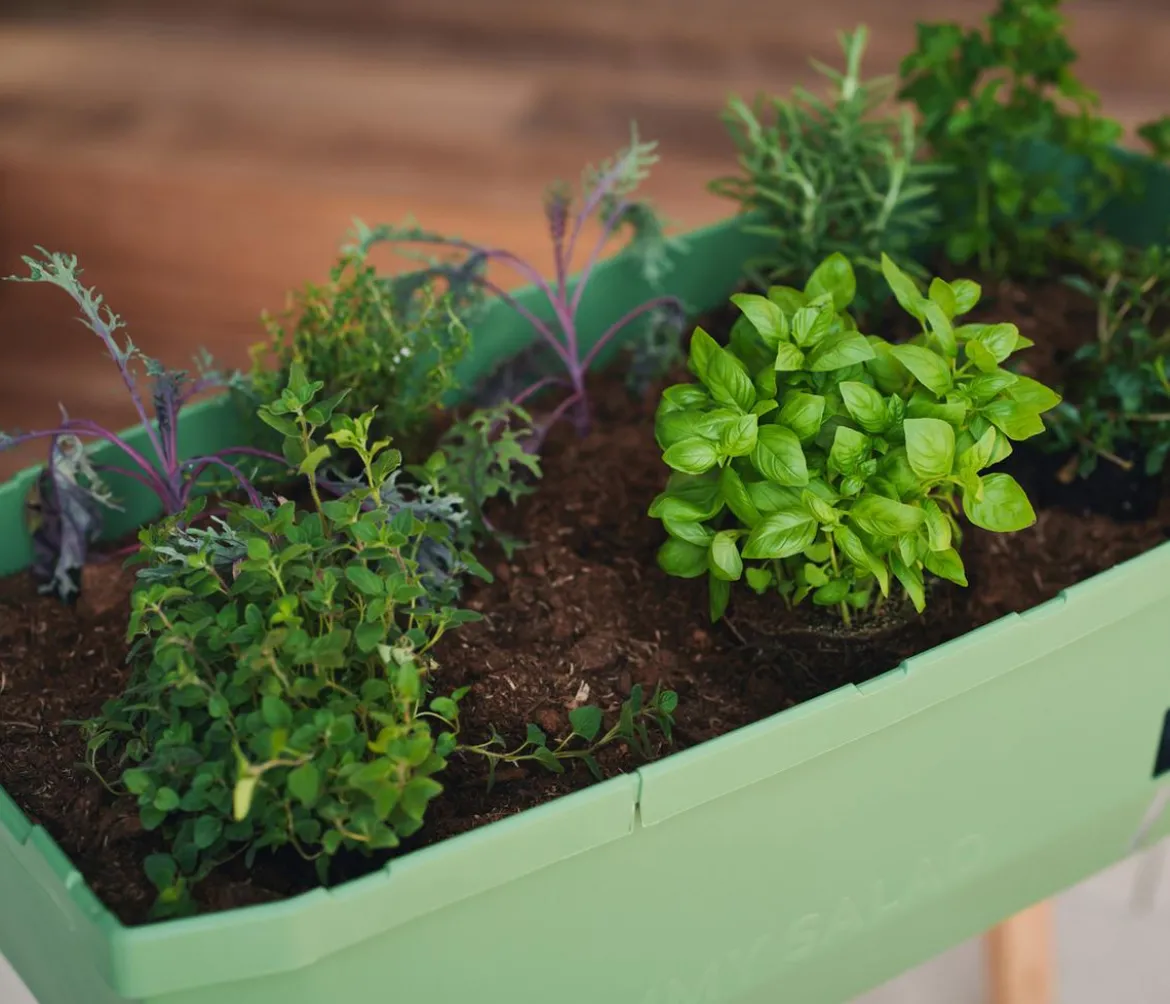 Gusta Garden Mini-Hochbeet Sammy Salad, inkl. Haube, ca. B79/H95/T38 cm