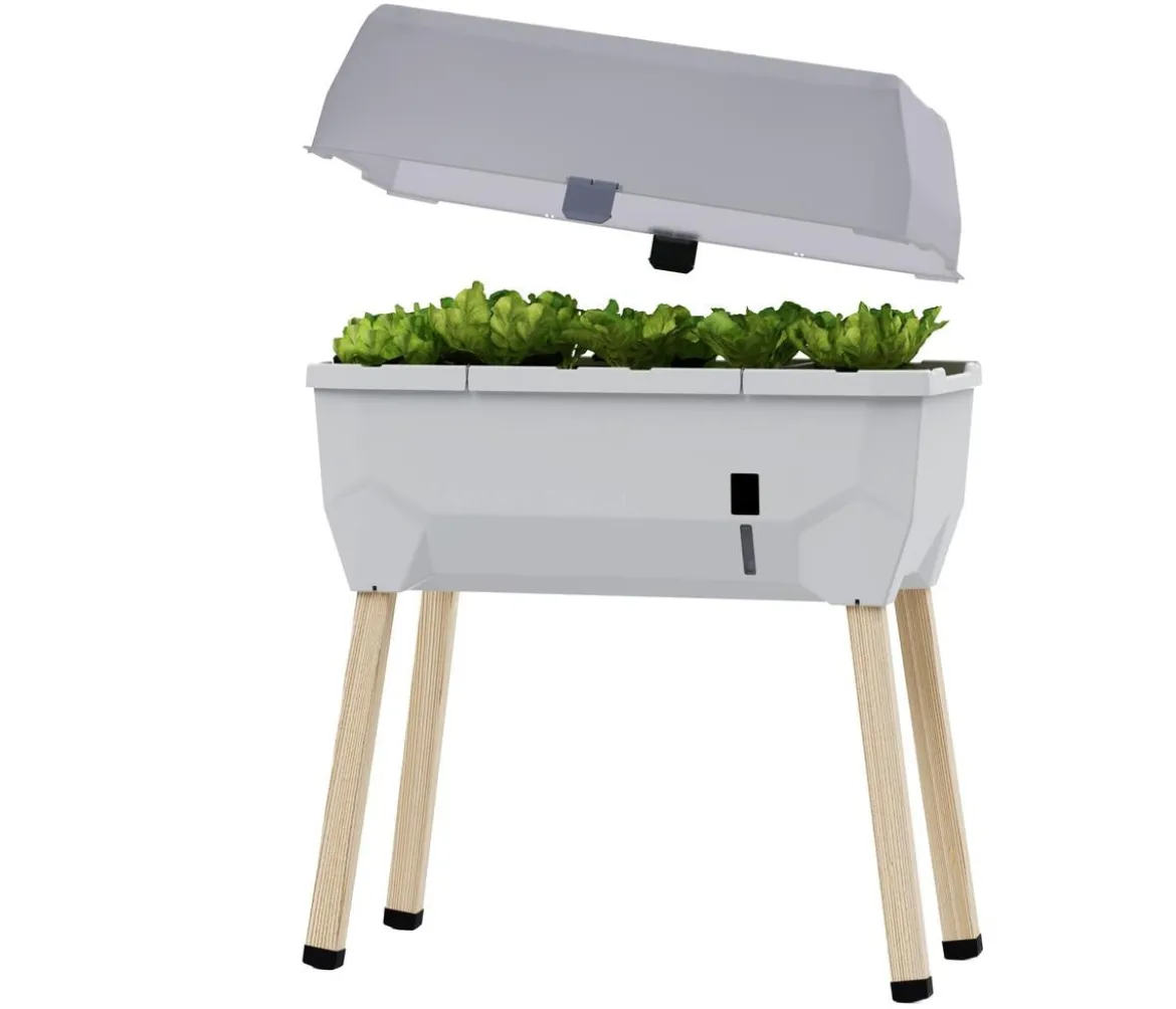 Gusta Garden Mini-Hochbeet Sammy Salad, inkl. Haube, ca. B79/H95/T38 cm
