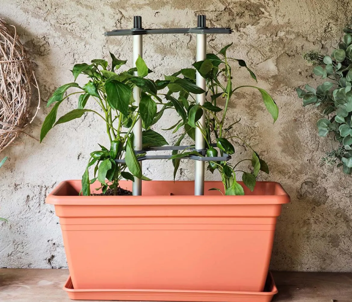 Gusta Garden Paprika-Rankhilfe Chili Buddy, ca. B34/H64/T19 cm