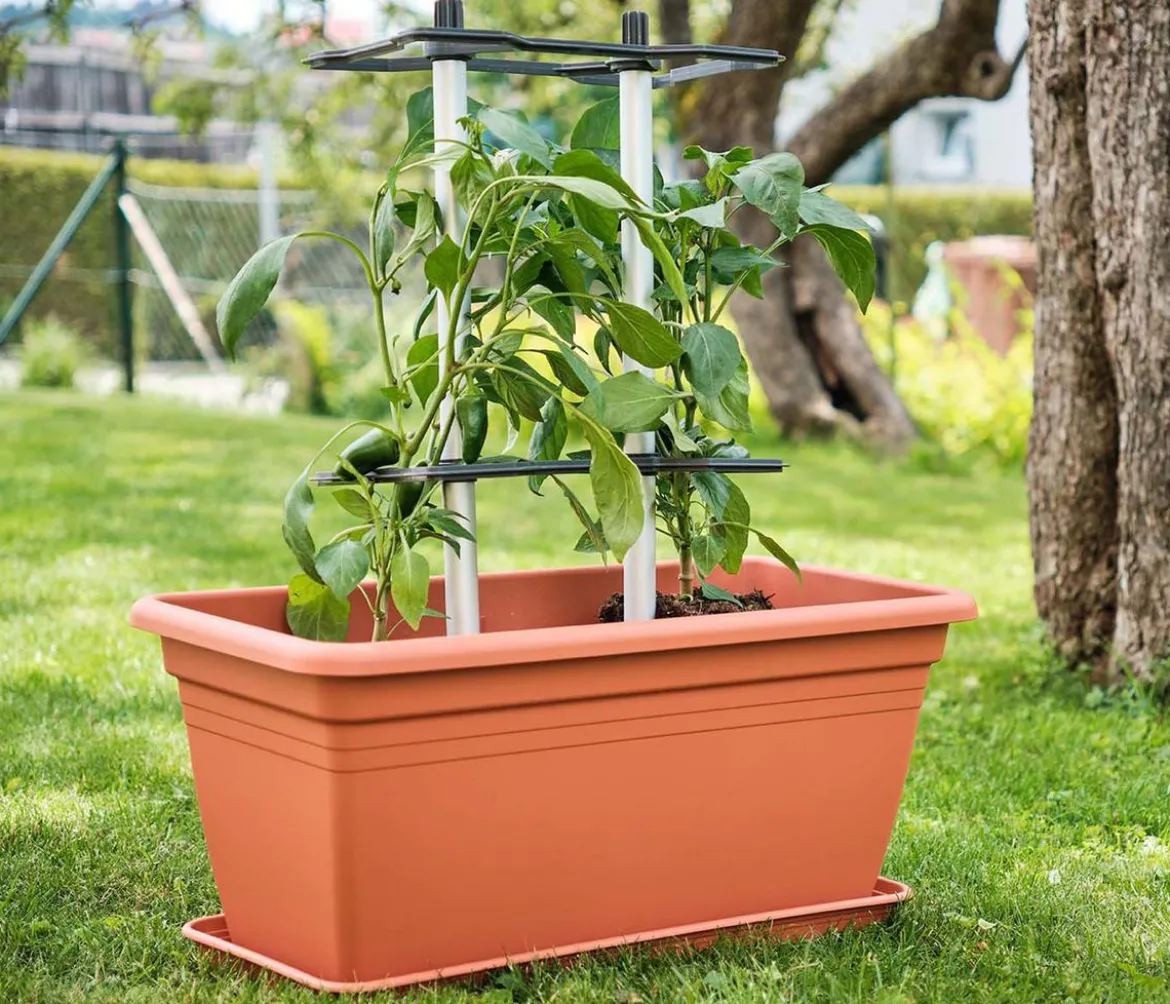 Gusta Garden Paprika-Rankhilfe Chili Buddy, ca. B34/H64/T19 cm