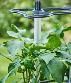 Gusta Garden Paprika-Rankhilfe Chili Buddy, ca. B34/H64/T19 cm