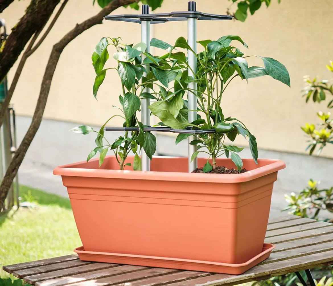 Gusta Garden Paprika-Rankhilfe Chili Buddy, ca. B34/H64/T19 cm