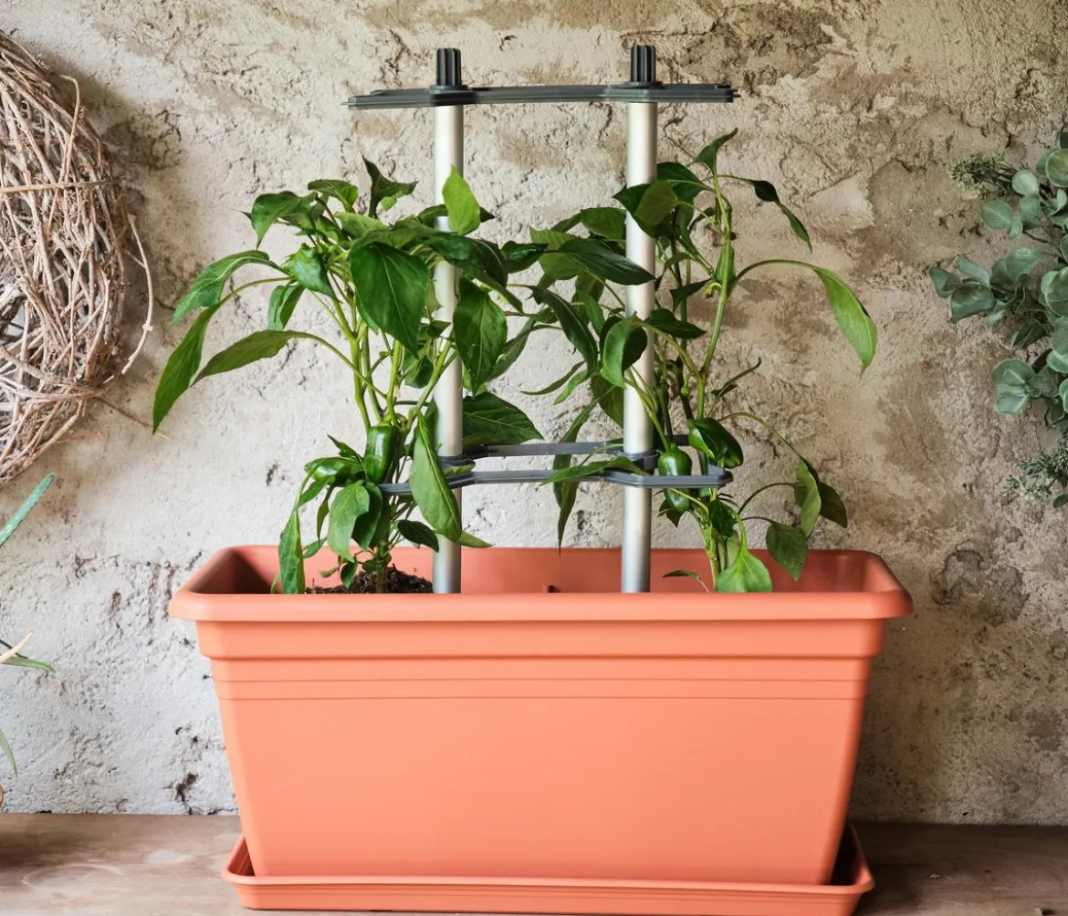 Gusta Garden Rankhilfe Chili Buddy, ca. B34/H64/T19 cm, 3er-Set