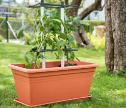 Gusta Garden Rankhilfe Chili Buddy, ca. B34/H64/T19 cm, 3er-Set