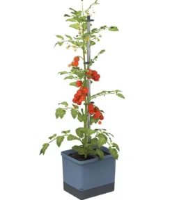 Gusta Garden Tomatentopf Tom Tomato, ca. B35/H135/T28 cm