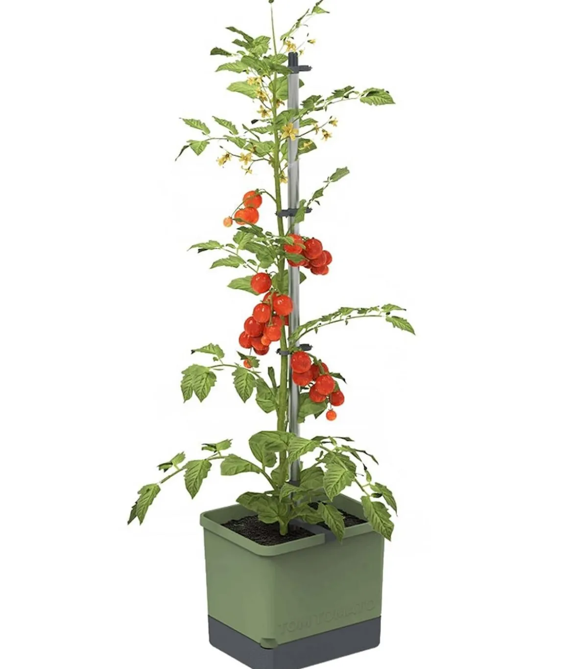 Gusta Garden Tomatentopf Tom Tomato, ca. B35/H135/T28 cm