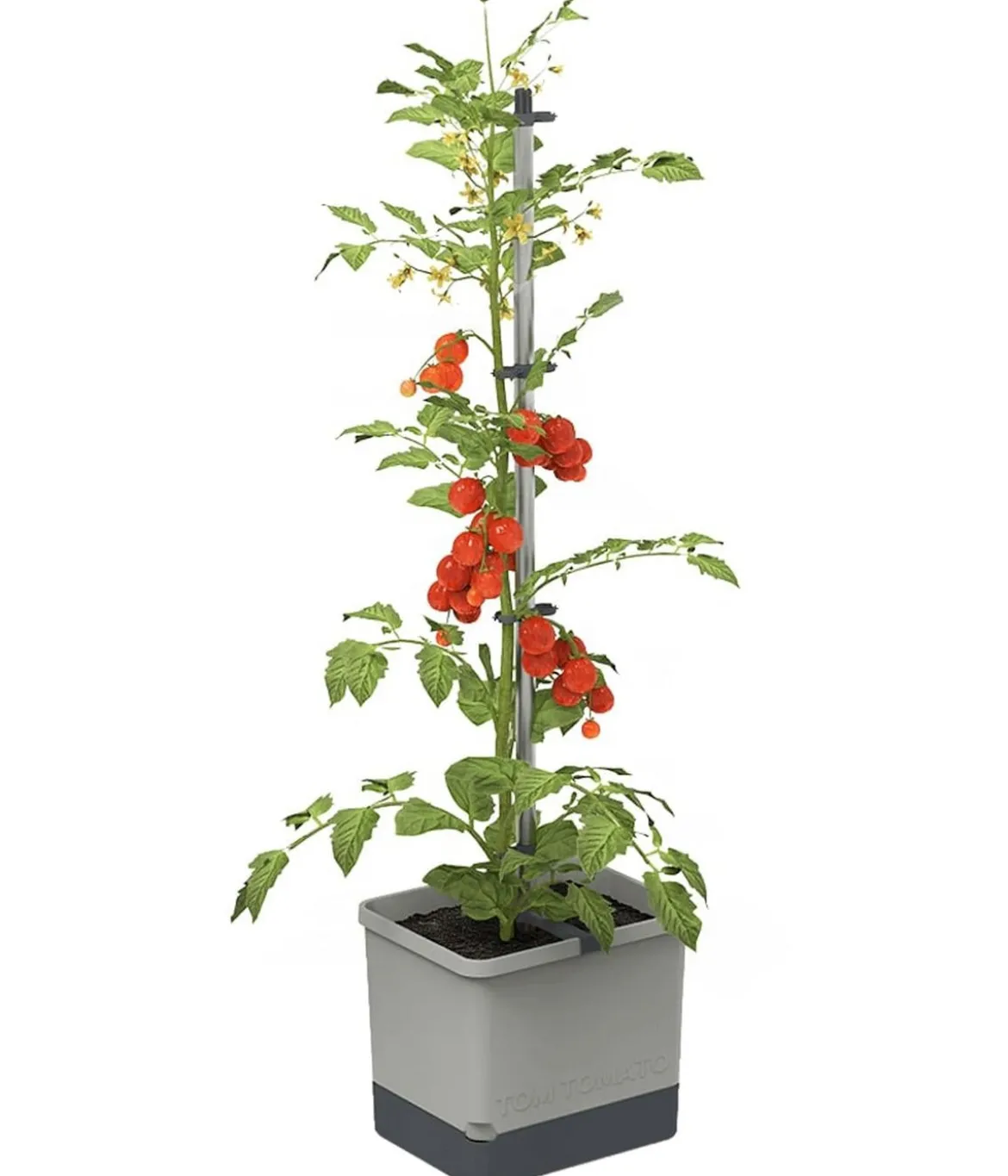 Gusta Garden Tomatentopf Tom Tomato, ca. B35/H135/T28 cm