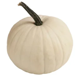 Halloween-Kürbis, ca. Ø20 cm