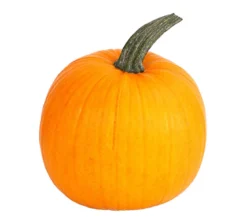 Halloween-Kürbis, ca. Ø21-25 cm