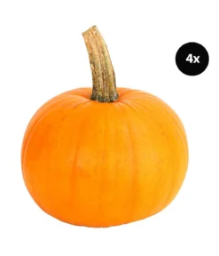 Halloween-Kürbis, ca. Ø12-20 cm, 4er-Set