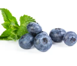 Heidelbeer-Set Blaubeer-Liebe, 4-teilig