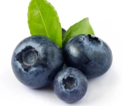 Heidelbeer-Set Blaubeer-Liebe, 4-teilig