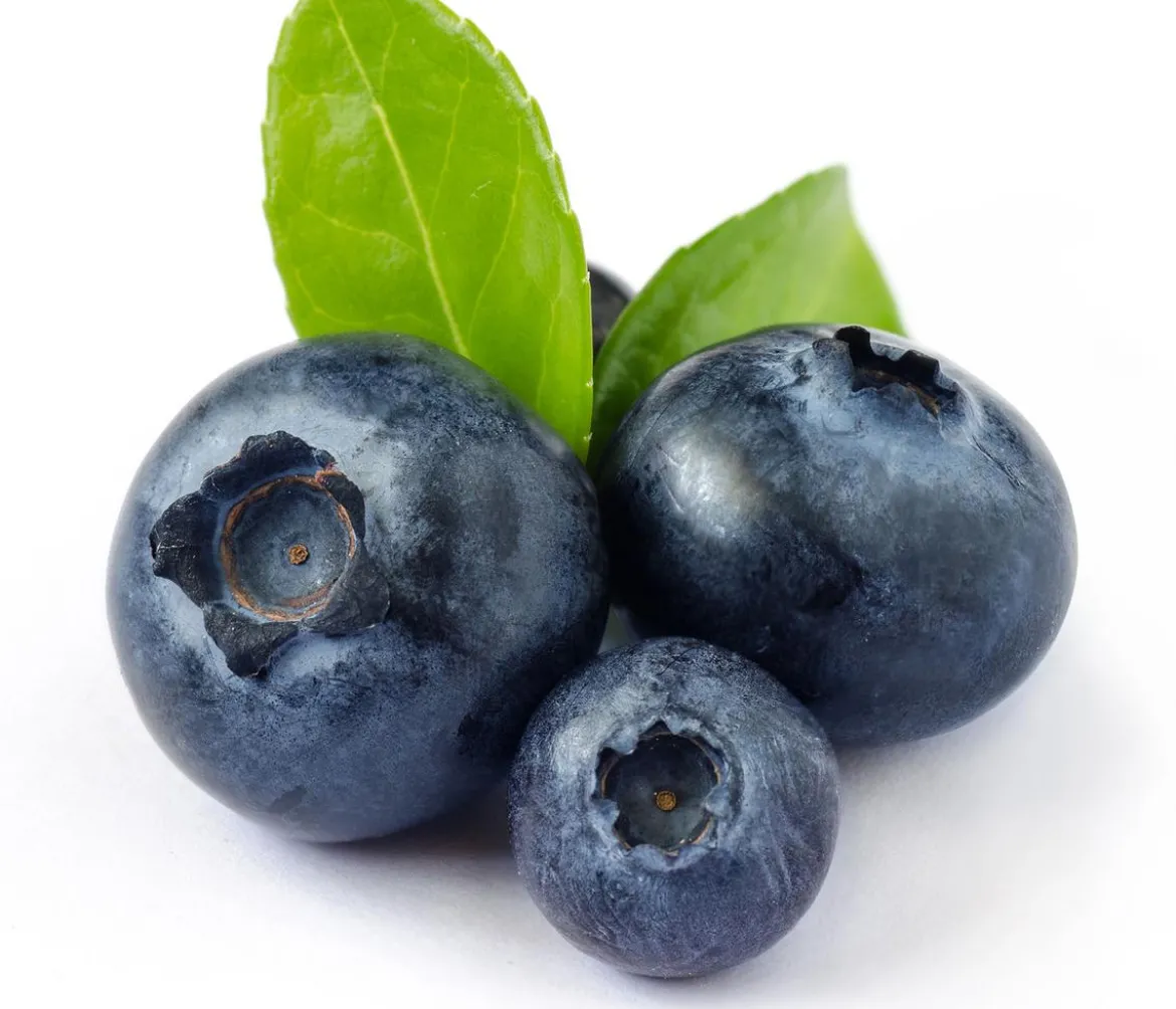 Heidelbeer-Set Blaubeer-Liebe, 4-teilig