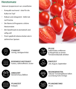 Herztomate