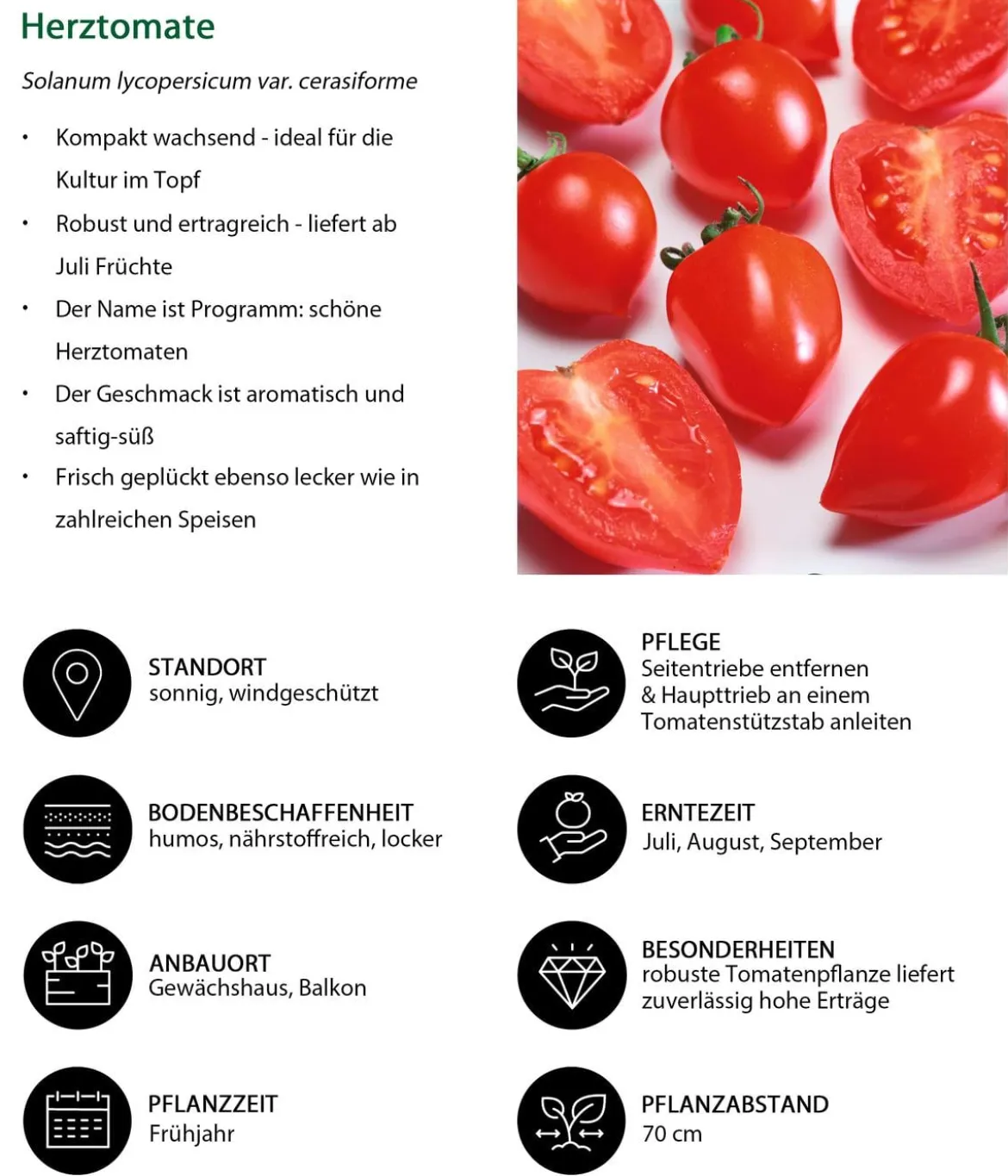 Herztomate