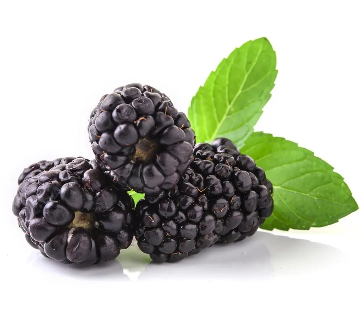Himbeer-Brombeer-Set Beerentöne, 4-teilig