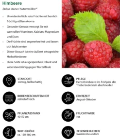 Himbeer-Set Himbeerfreude, 3-teilig