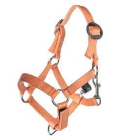 HKM KIDS Hobby Horsing Basic Halfter und Strick
