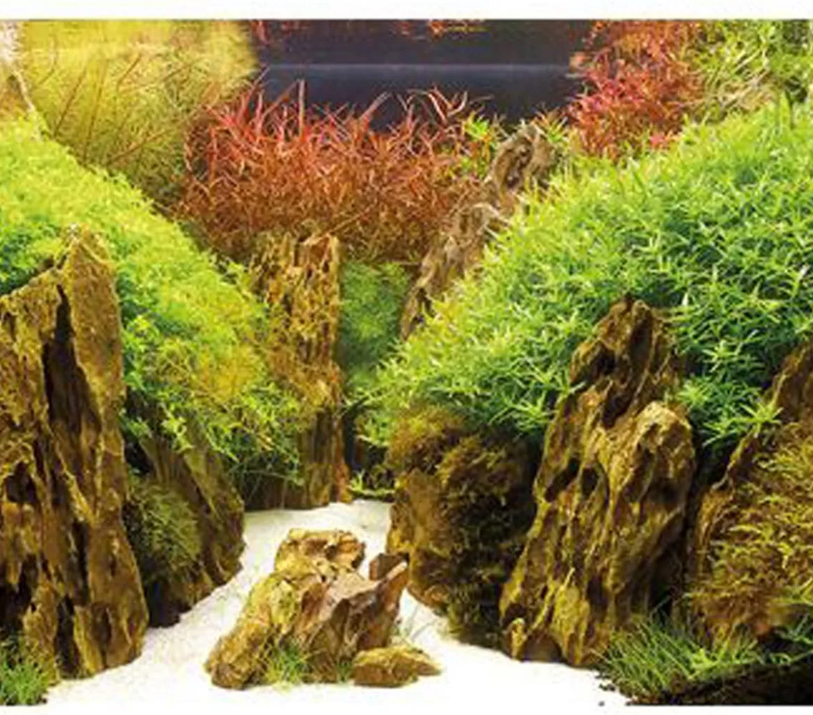 Hobby® Aquarium Rückwand Canyon/Woodland