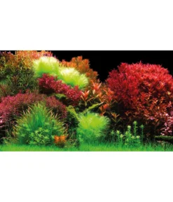 Hobby® Aquarium Rückwand Ocean/Ruby Lake