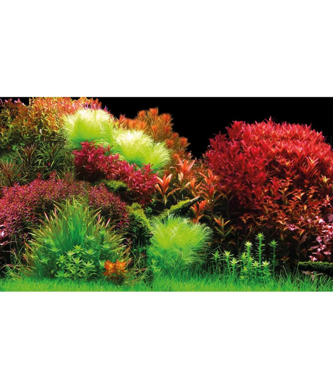 Hobby® Aquarium Rückwand Ocean/Ruby Lake