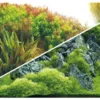Hobby® Aquarium Rückwand Planted River/Green Rocks