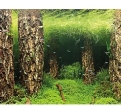 Hobby® Aquarium Rückwand Scaper's Hill/Scaper's Forest
