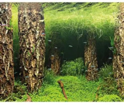 Hobby® Aquarium Rückwand Scaper's Hill/Scaper's Forest