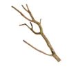 Hobby® Terrariendeko Korktroncho