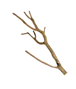 Hobby® Terrariendeko Korktroncho