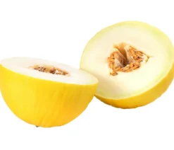 Honigmelone