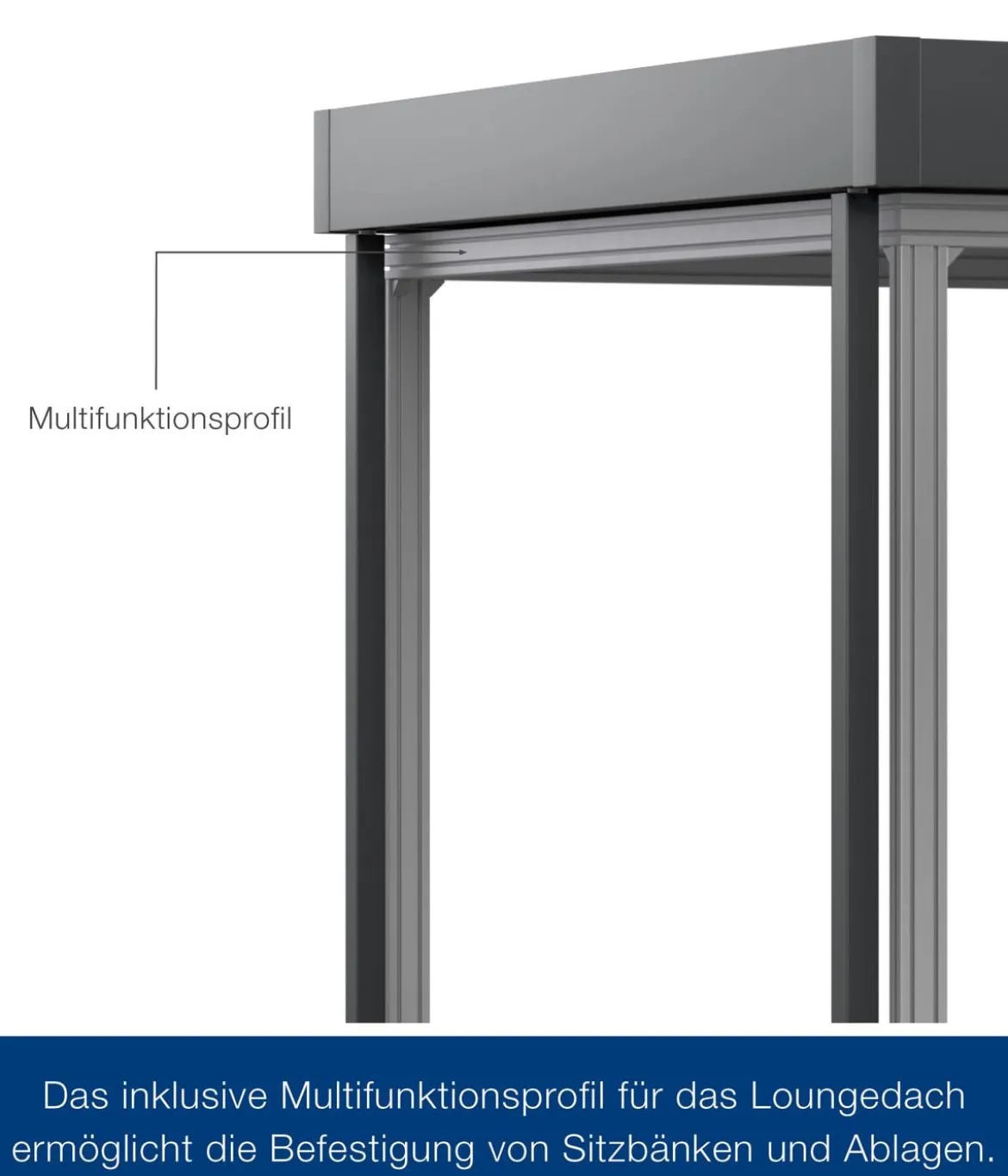 Hörmann Juno Loungedach für JFD5/9/12, ca. B225/H220/T229 cm