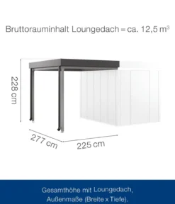 Hörmann Juno Loungedach für JFD6/10/13, ca. B225/H220/T277 cm