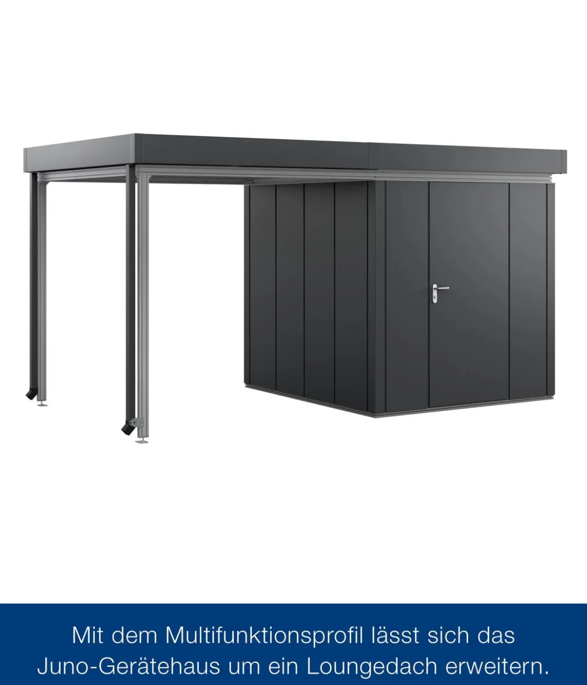 Hörmann Juno Multifunktionsprofil für JFD10, ca. B262/T262 cm