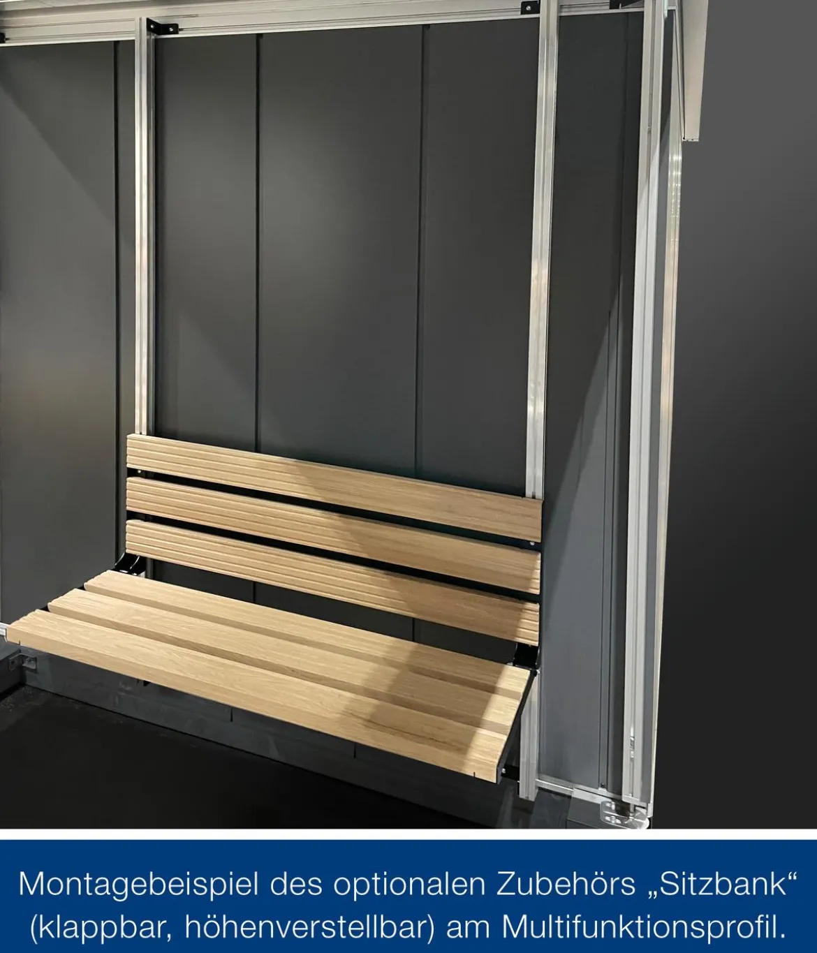 Hörmann Juno Multifunktionsprofil für JFD4, ca. B214/T166 cm