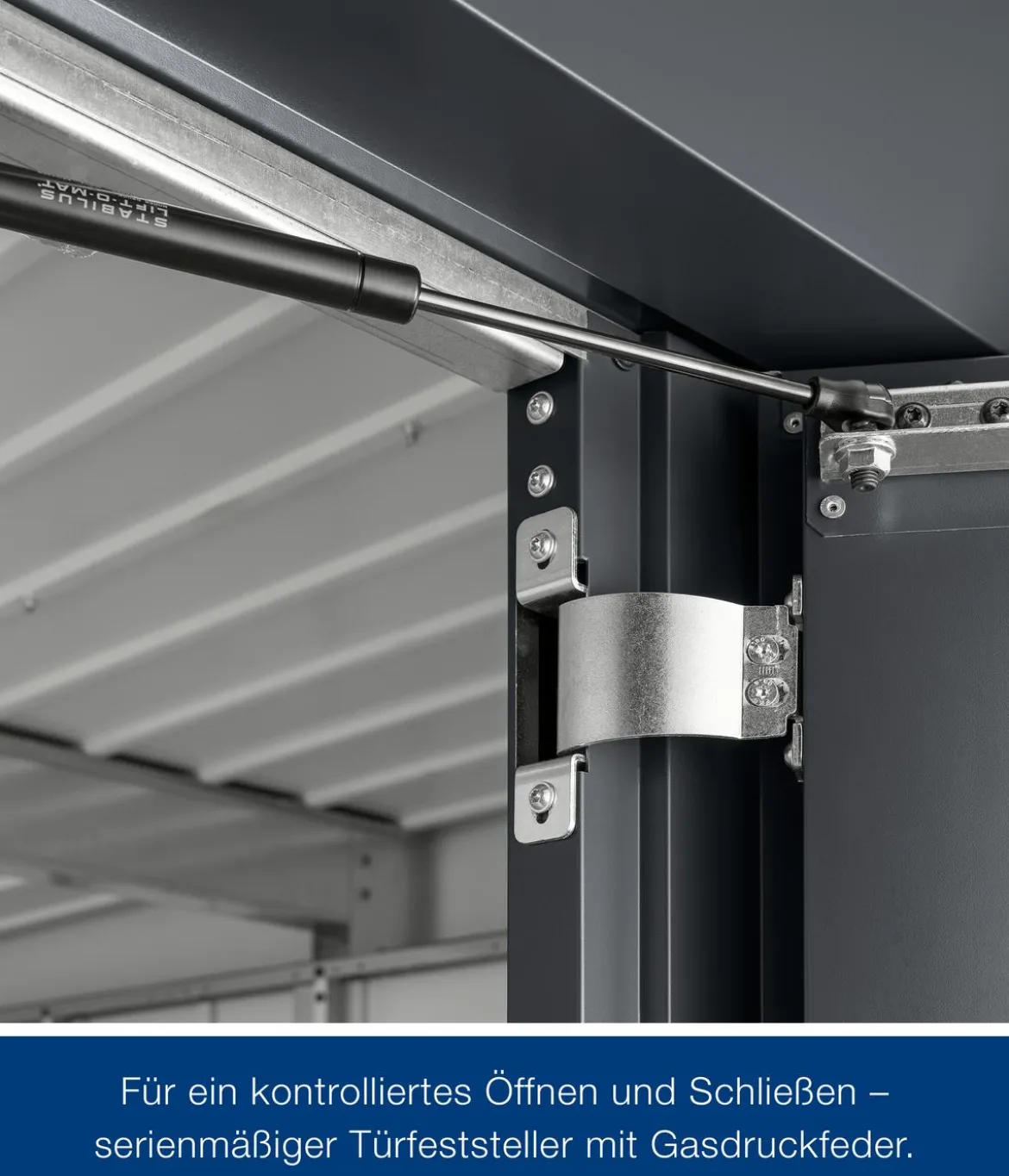 Hörmann Metallgerätehaus Juno JFD6 M-Sk Motiv Modern bodentiefes Fenster, ca. B229/H222/T277 cm