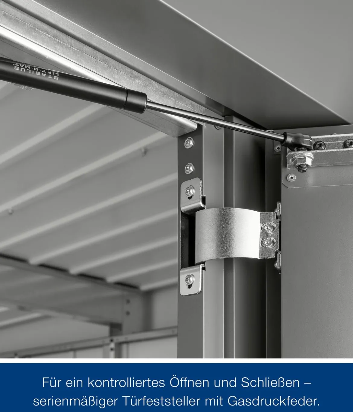 Hörmann Metallgerätehaus Juno JFD6 M-Sk Motiv Modern bodentiefes Fenster, ca. B229/H222/T277 cm