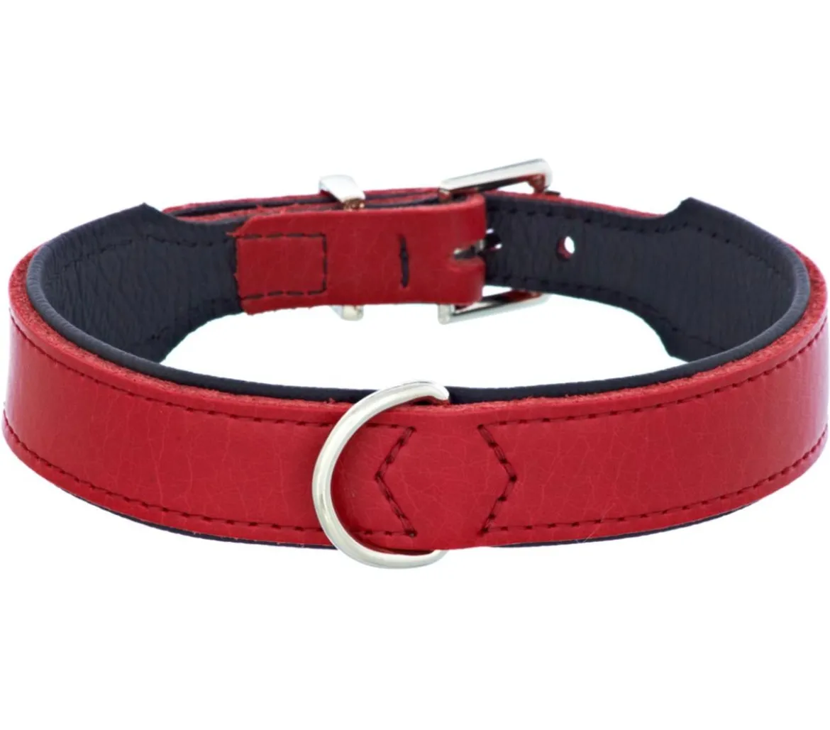 HUNTER® Hundehalsband Basic, rot/schwarz