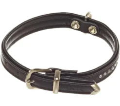 HUNTER® Hundehalsband Modern Art Luxus, schwarz