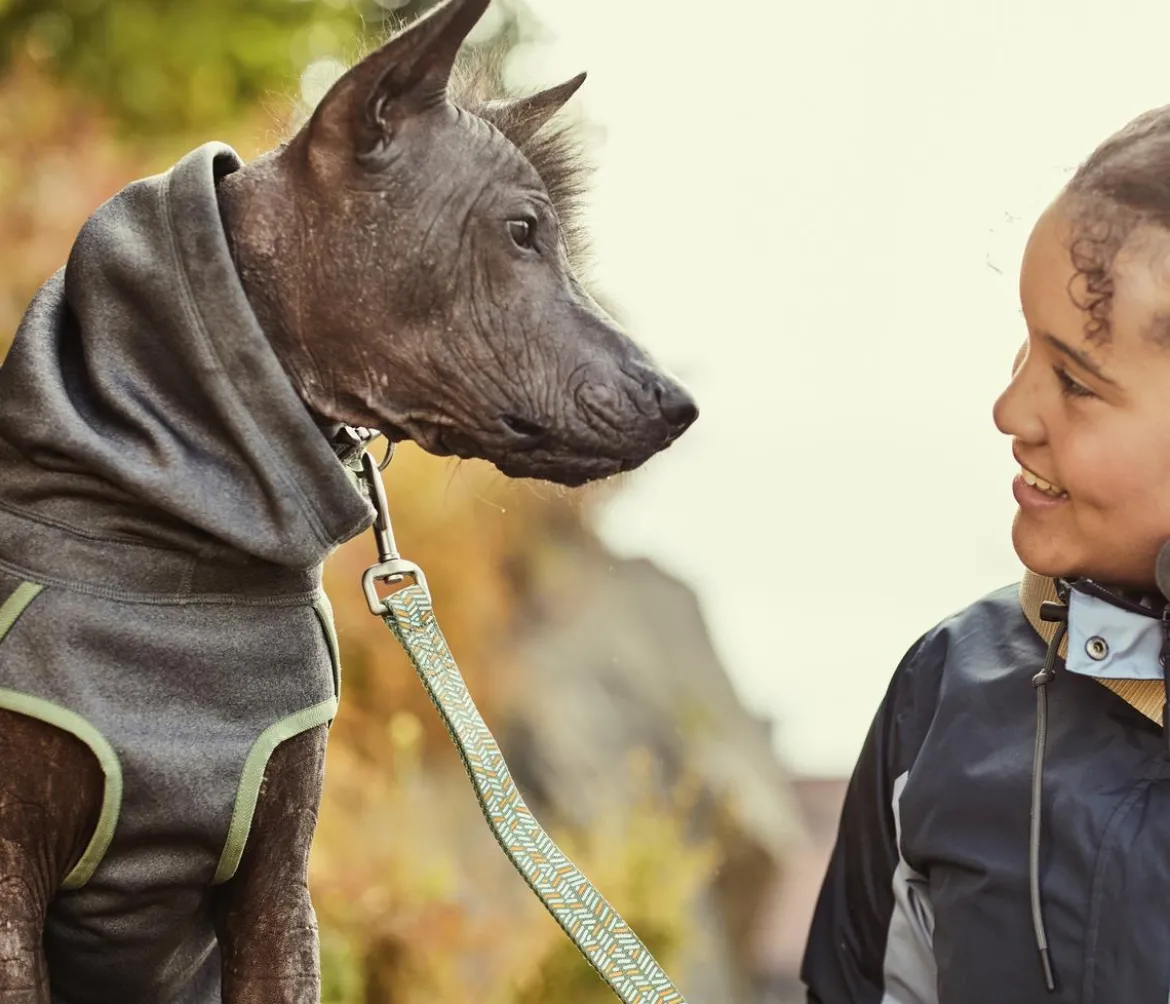 Hurtta Hunde-Fleecejacke Razzle-Dazzle Midlayer Blackberry