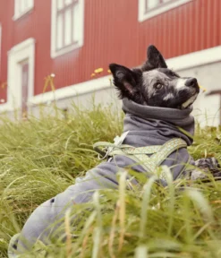 Hurtta Hunde-Fleecejacke Razzle-Dazzle Midlayer Blackberry