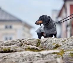 Hurtta Hundejacke Expedition Parka II Blackberry