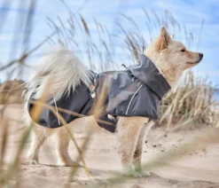 Hurtta Hunde-Regenmantel Mudventure Blackberry