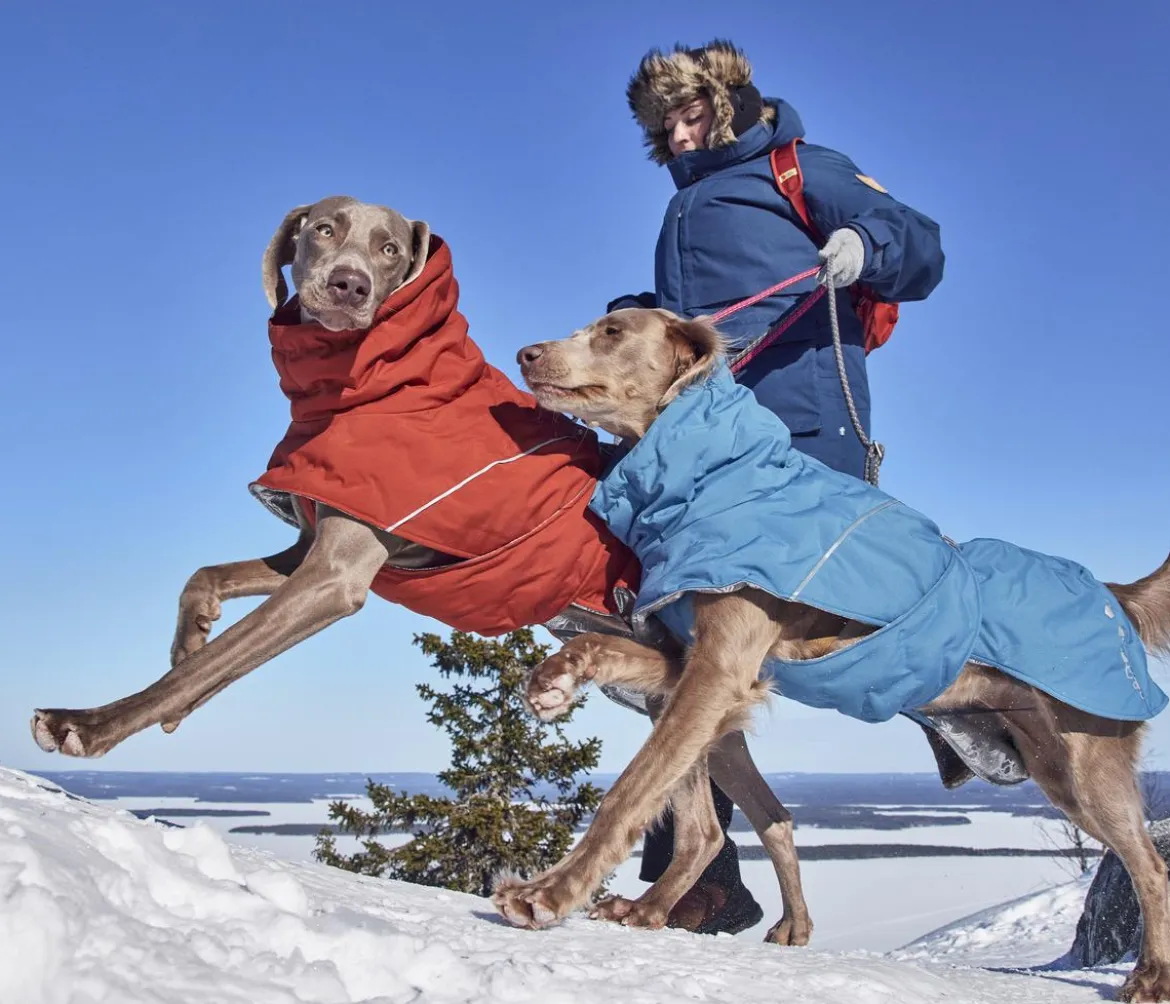 Hurtta Hunde-Winterjacke Extreme Warmer III Bilberry