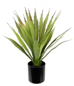 I.GE.A. Kunstpflanze Agave im Kunststoff-Topf, ca. H38 cm