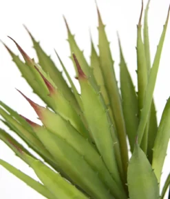 I.GE.A. Kunstpflanze Agave im Kunststoff-Topf, ca. H38 cm