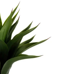 I.GE.A. Kunstpflanze Agave im Topf, ca. H70 cm